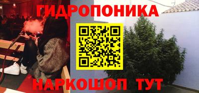 гидра Абакан