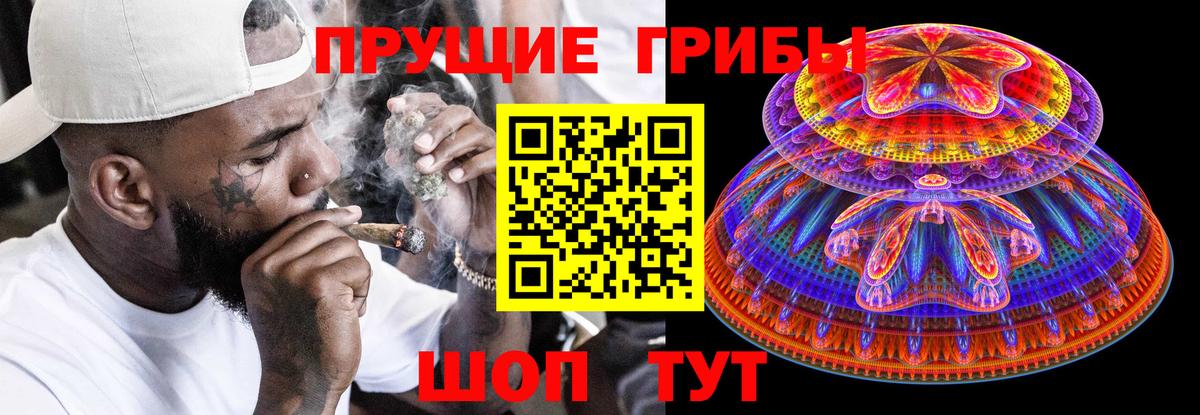 Псилоцибиновые грибы Psilocybine cubensis  Вход с VPN  купить закладку  Усолье-Сибирское 