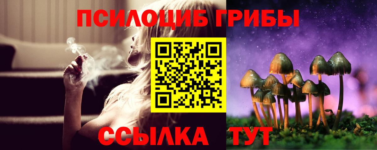 Галлюциногенные грибы GOLDEN TEACHER Усолье-Сибирское