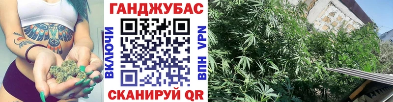 ОМГ ОМГ зеркало Усолье-Сибирское Бошки Шишки план